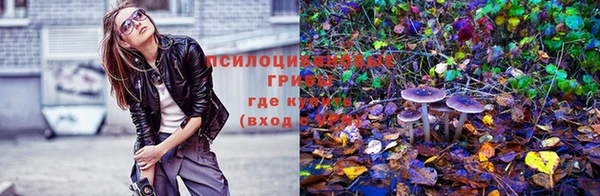 метадон Медвежьегорск