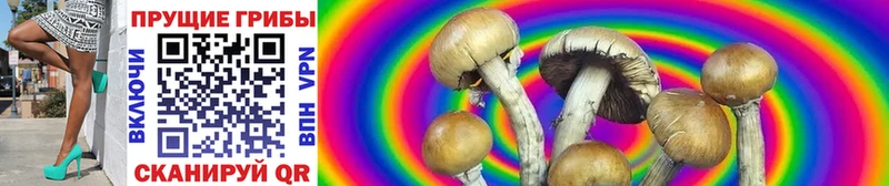 Галлюциногенные грибы GOLDEN TEACHER Южно-Сухокумск
