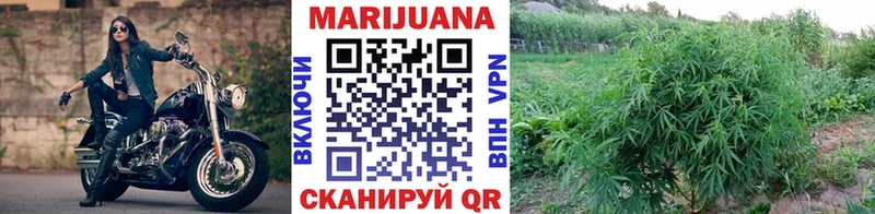 маркетплейс официальный сайт  цены наркотик  Южно-Сухокумск  Марихуана индика 